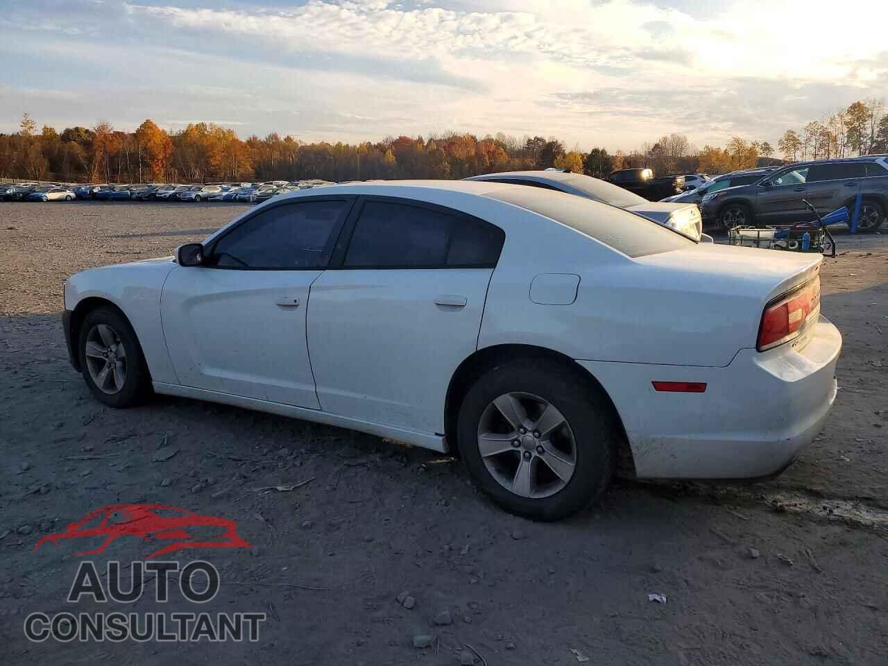 DODGE CHARGER 2011 - 2B3CL3CG7BH545336