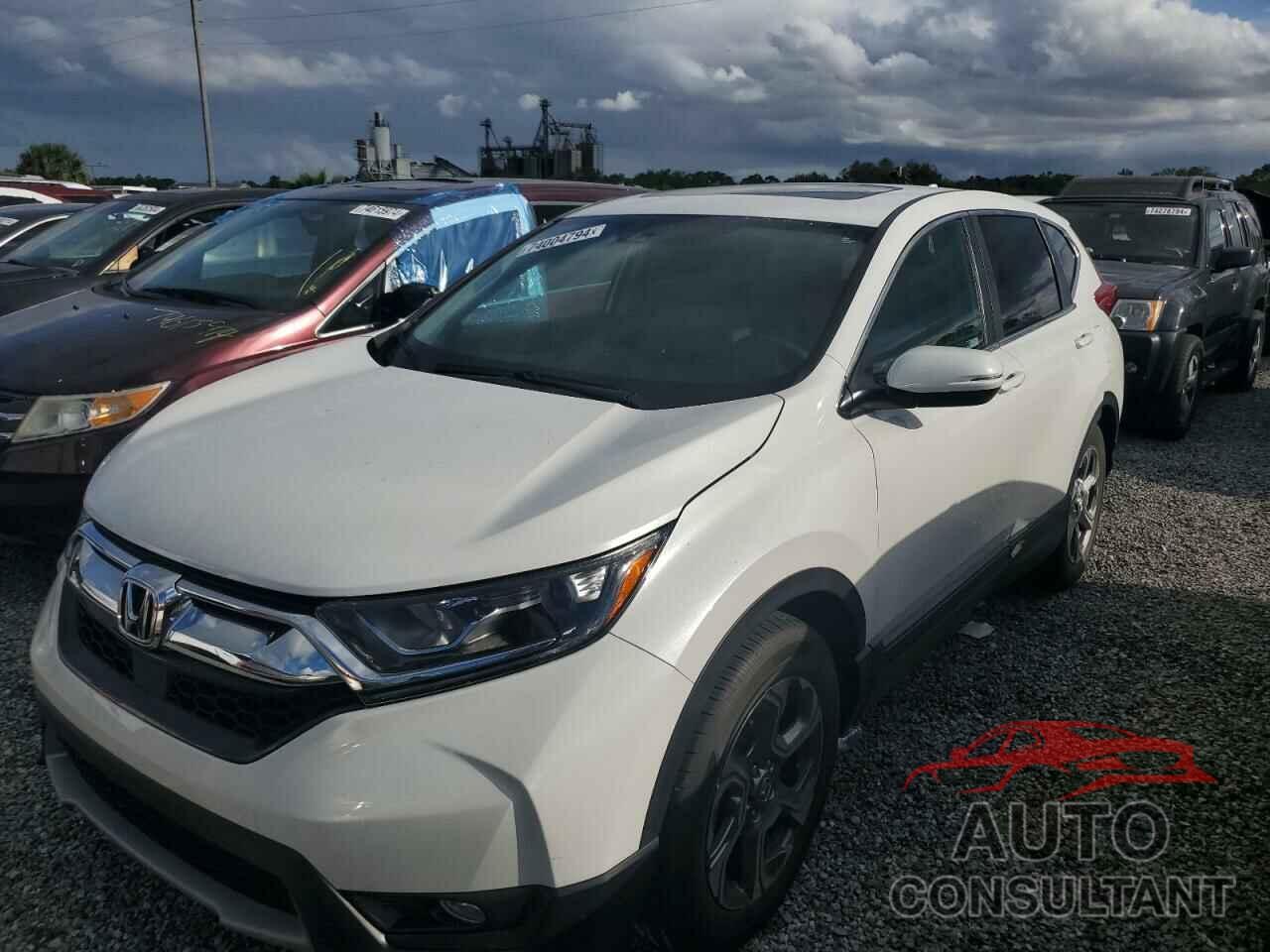 HONDA CRV 2019 - 5J6RW1H82KA041128