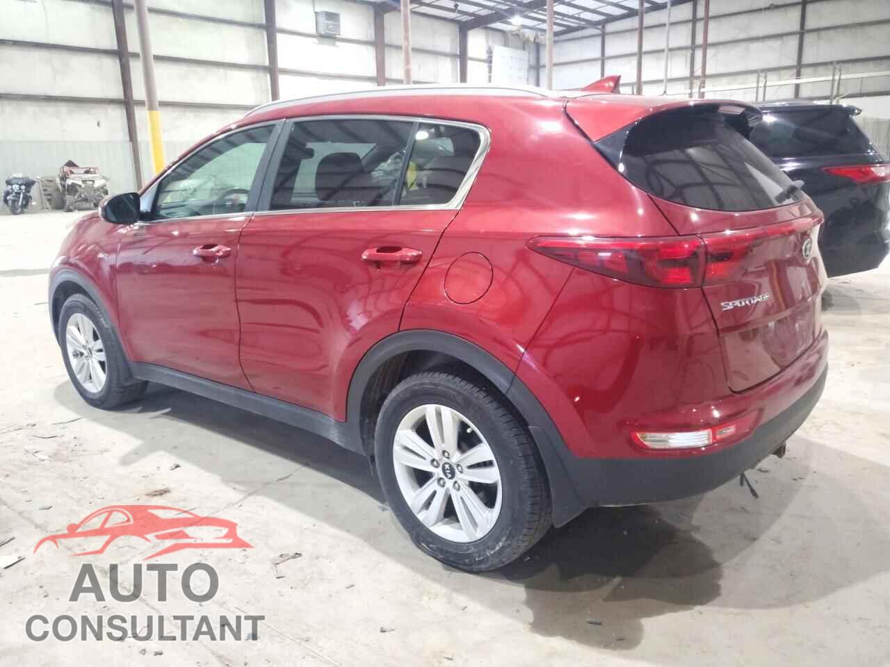 KIA SPORTAGE 2019 - KNDPMCAC6K7557695