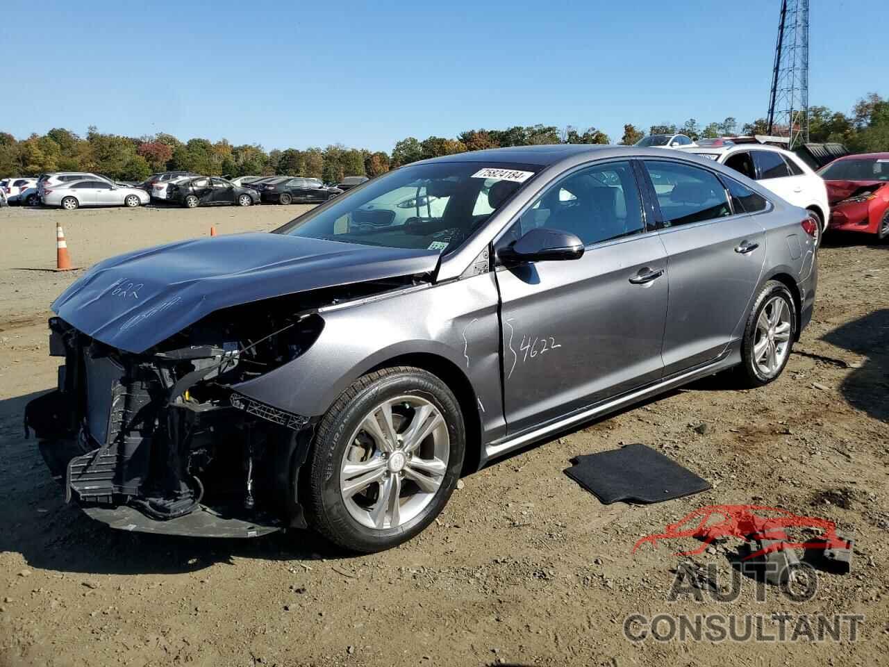 HYUNDAI SONATA 2019 - 5NPE34AF8KH750033