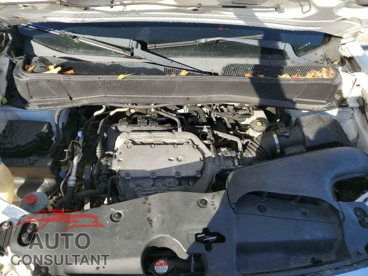 HONDA PILOT 2014 - 5FNYF3H2XEB019513