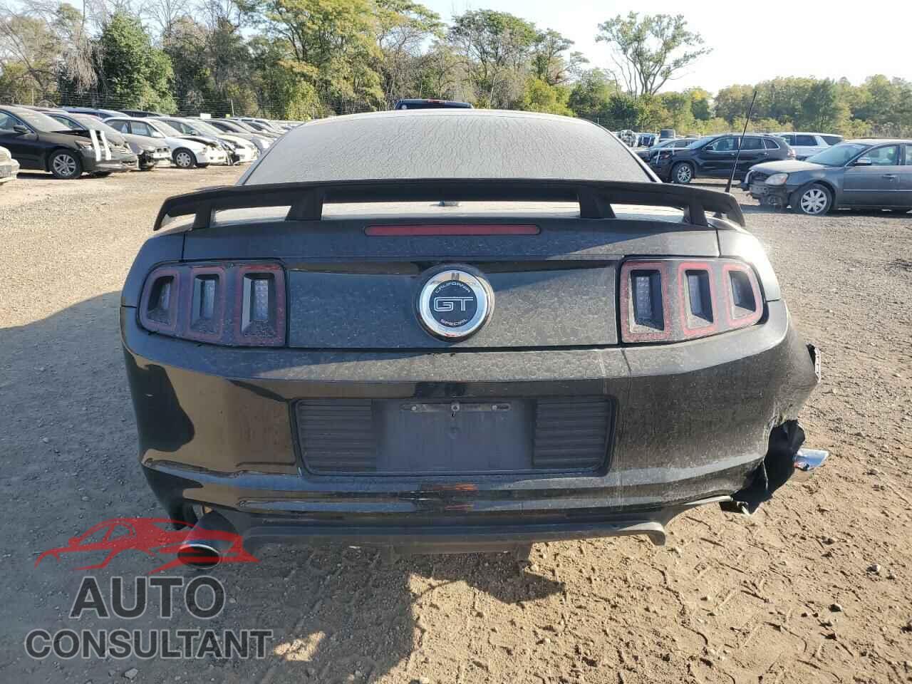 FORD MUSTANG 2013 - 1ZVBP8CF0D5249570