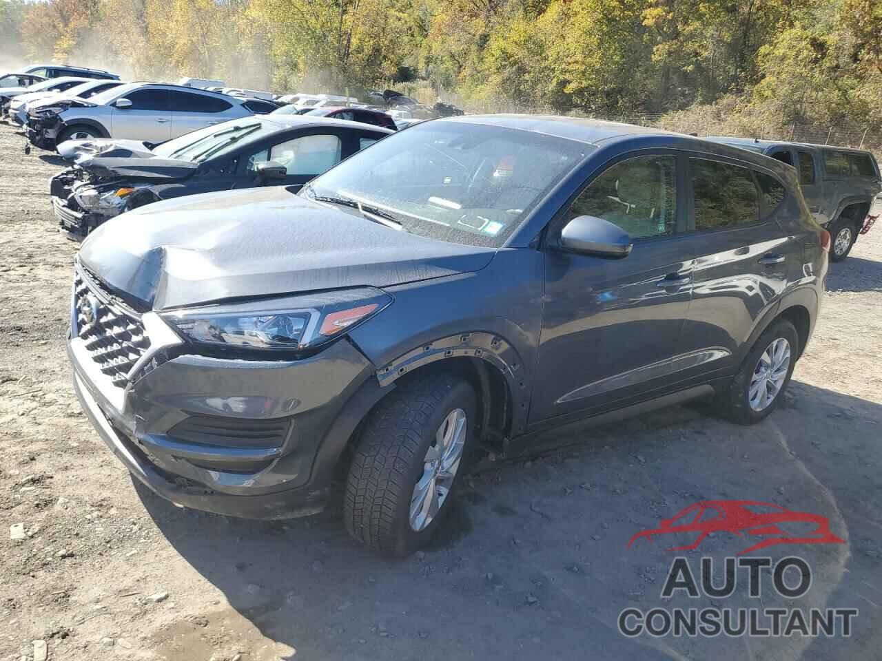 HYUNDAI TUCSON 2019 - KM8J2CA46KU924497