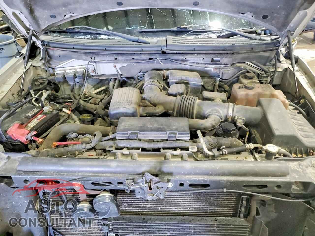 FORD F150 2010 - 1FTFX1EV2AFA73028