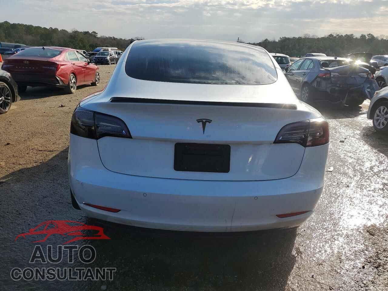 TESLA MODEL 3 2020 - 5YJ3E1EA1LF597610