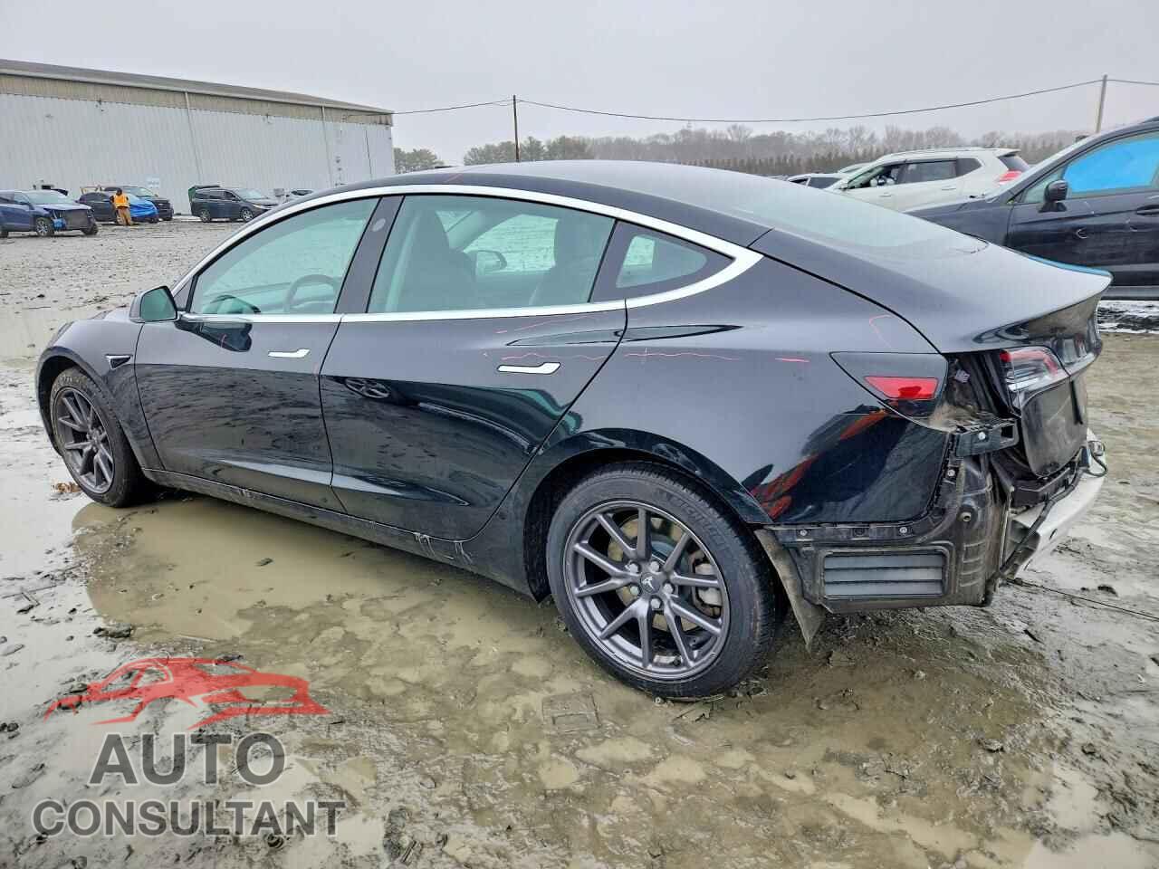 TESLA MODEL 3 2019 - 5YJ3E1EBXKF208972