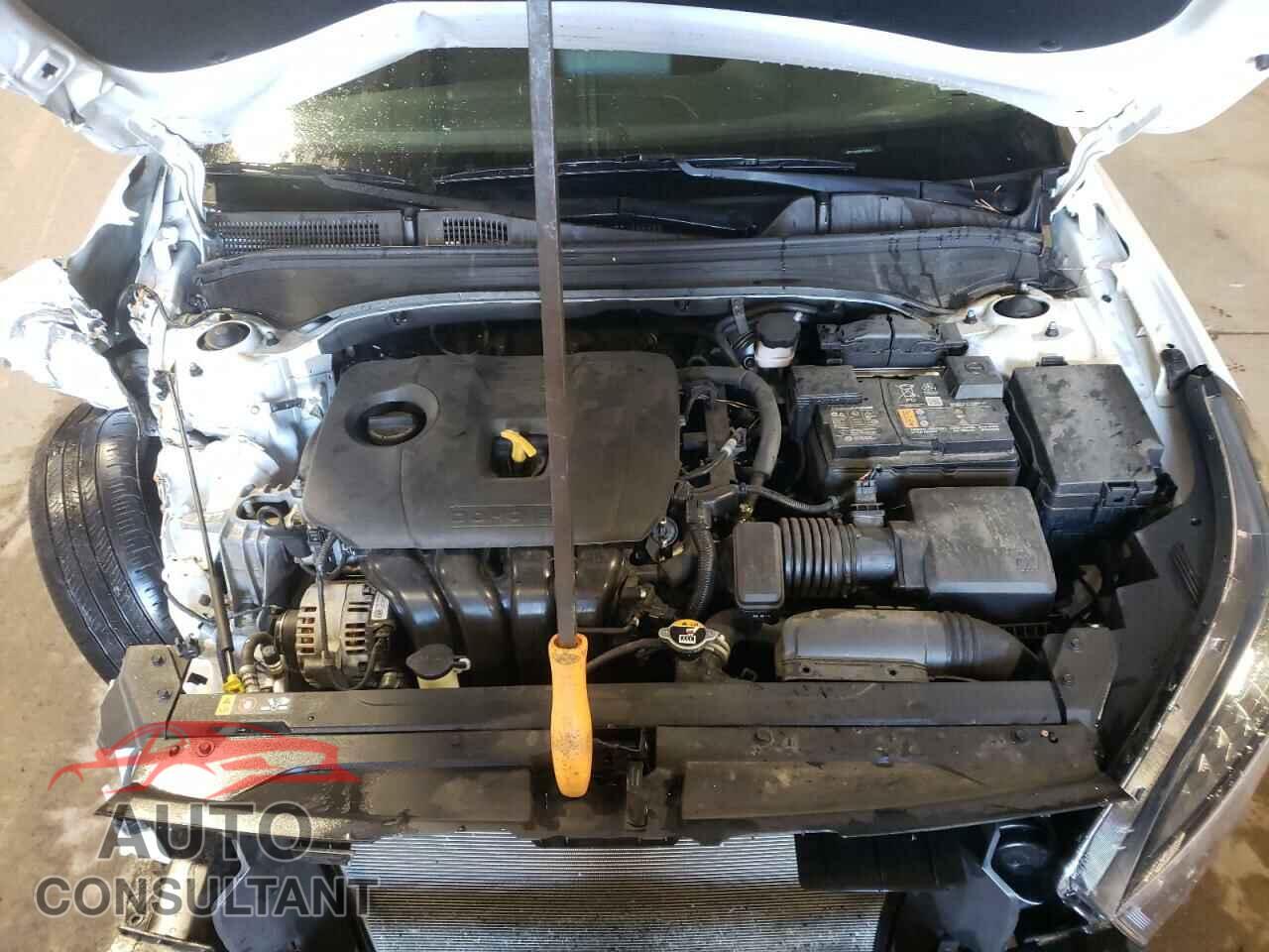 KIA FORTE 2023 - 3KPF24AD8PE586347