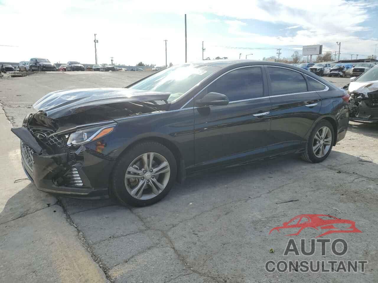 HYUNDAI SONATA 2019 - 5NPE34AF3KH806184