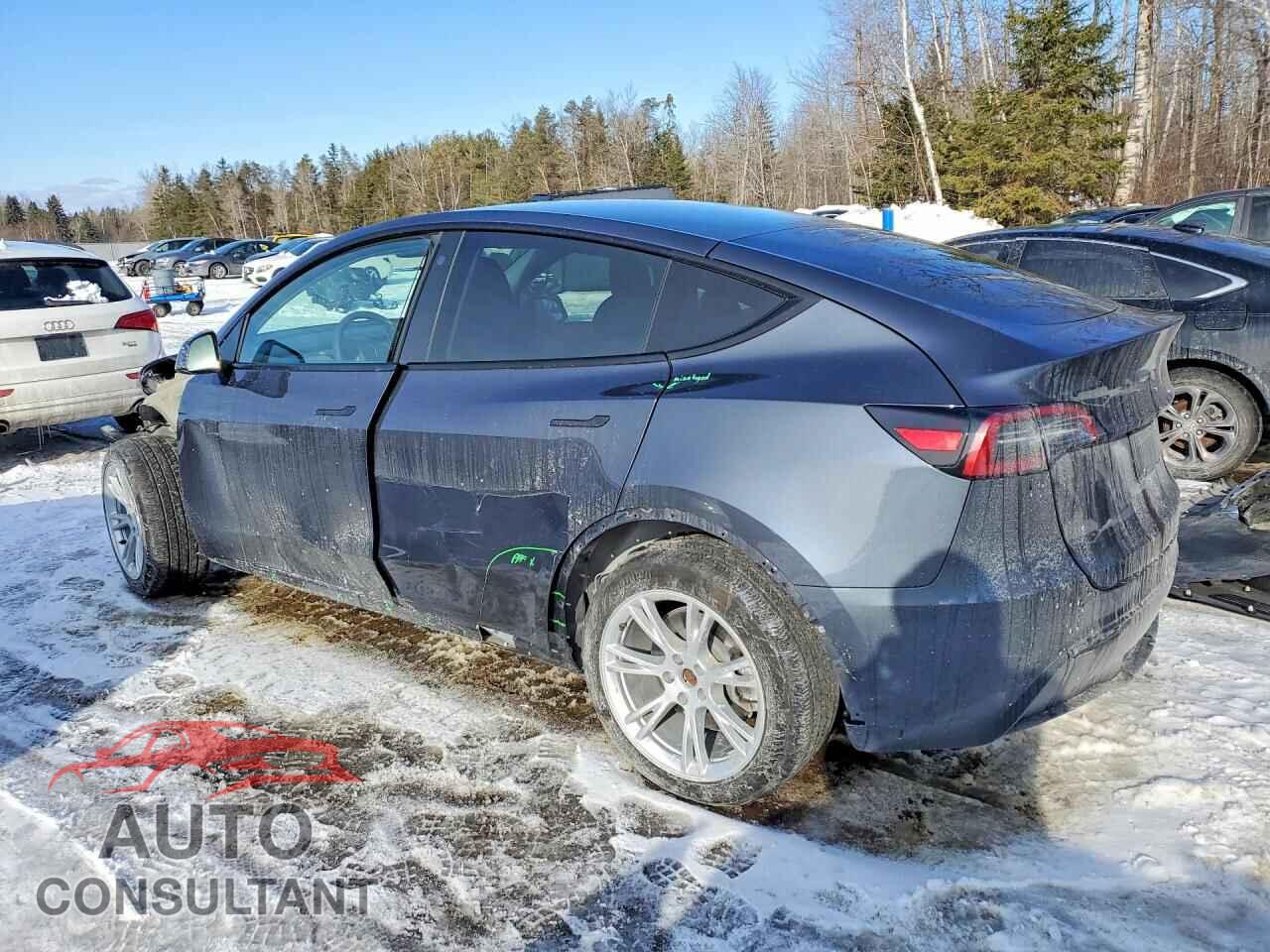 TESLA MODEL Y 2022 - 7SAYGDEEXNF385041