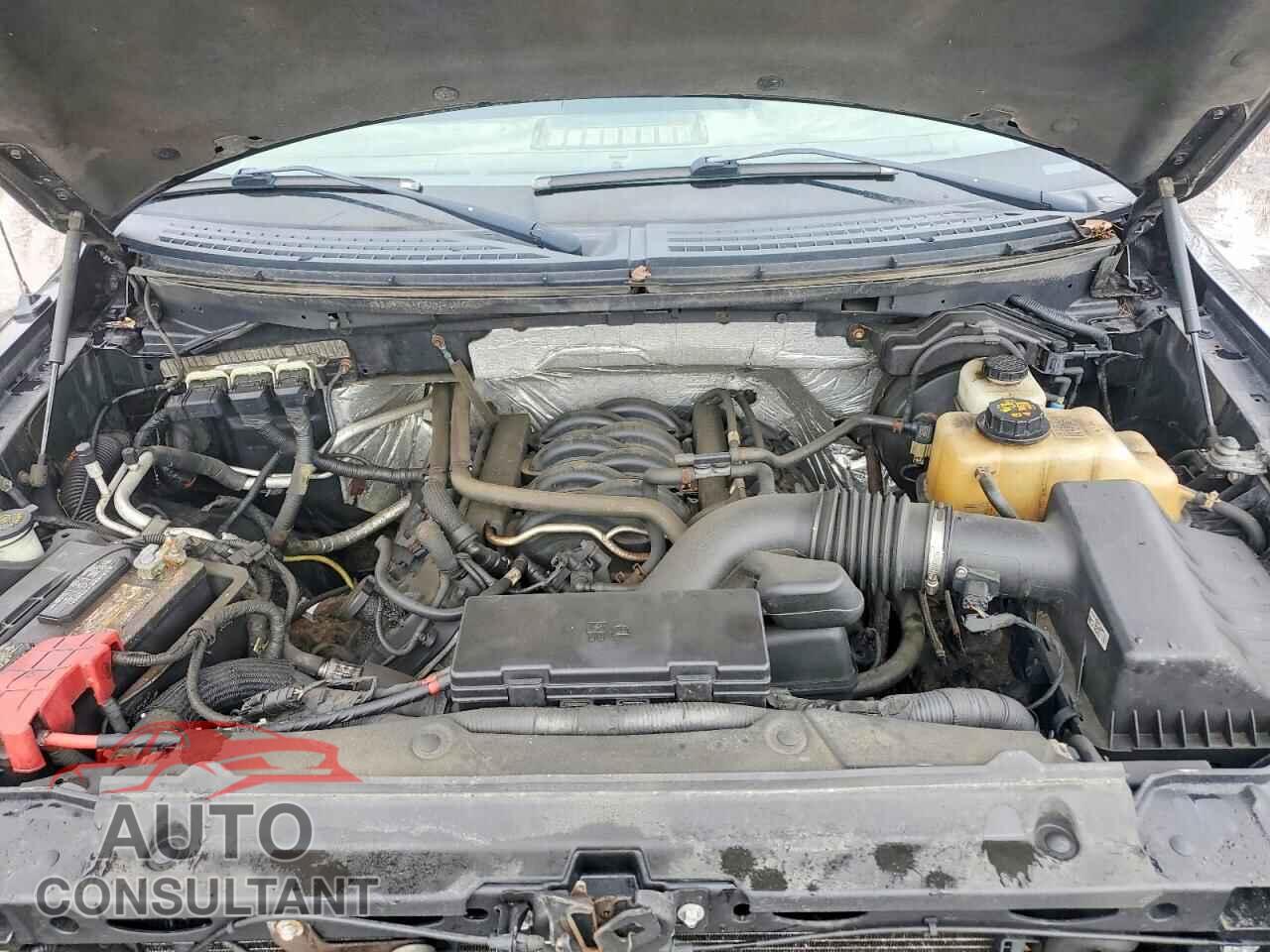 FORD F150 2013 - 1FTFX1EF8DFA07967