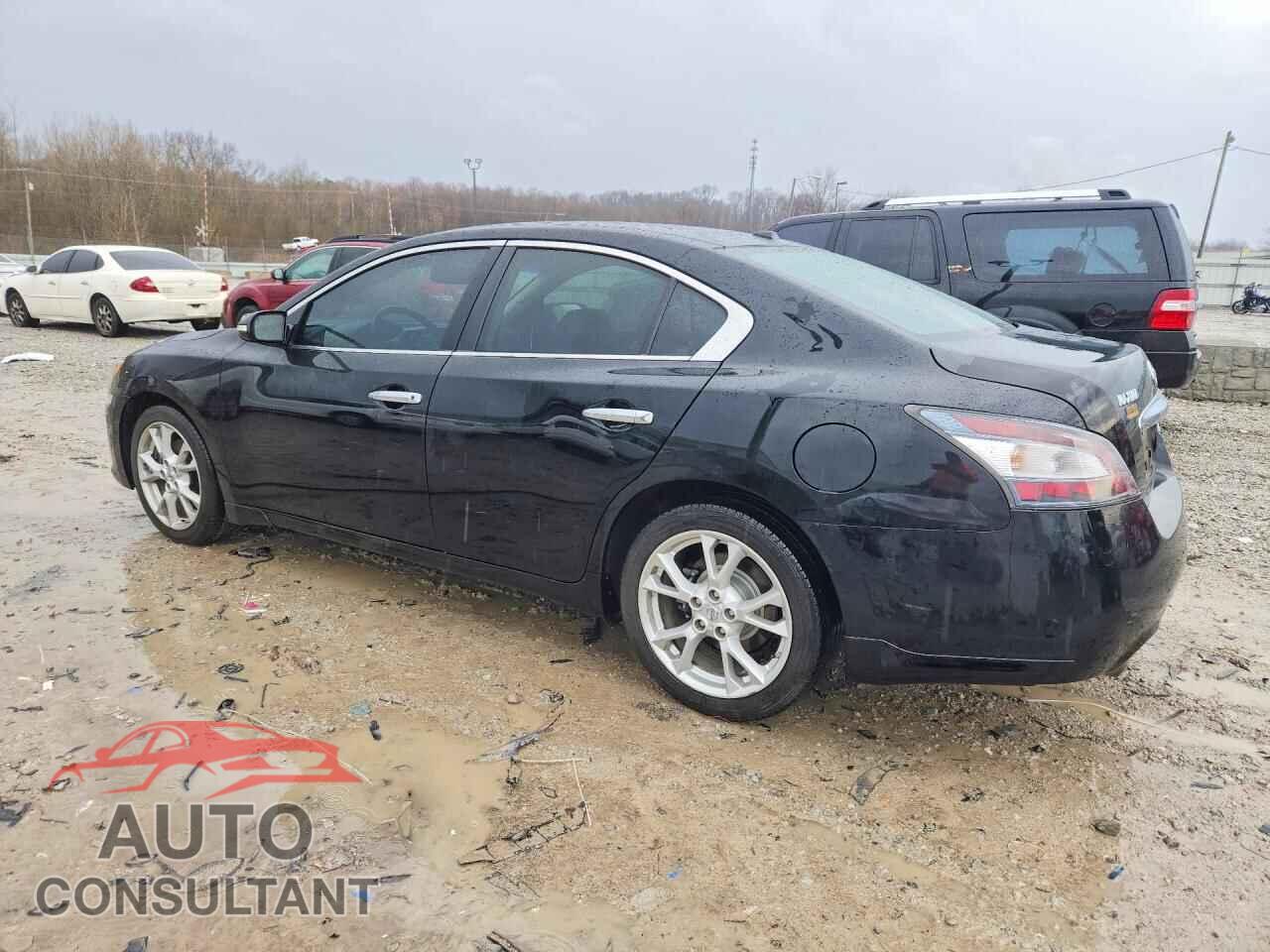 NISSAN MAXIMA 2014 - 1N4AA5AP8EC471982