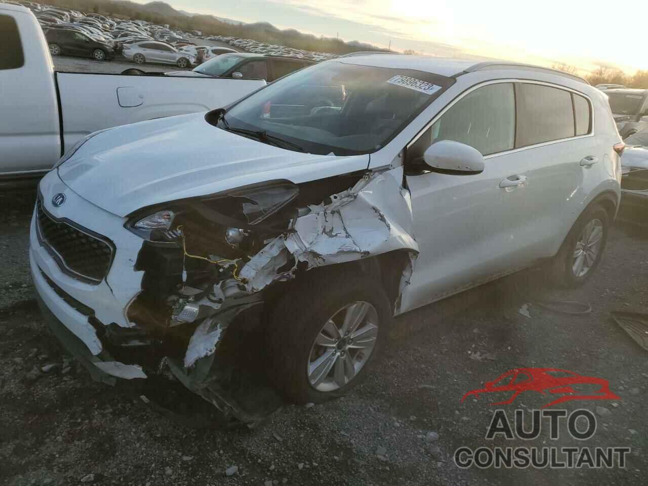KIA SPORTAGE 2019 - KNDPM3AC8K7548528