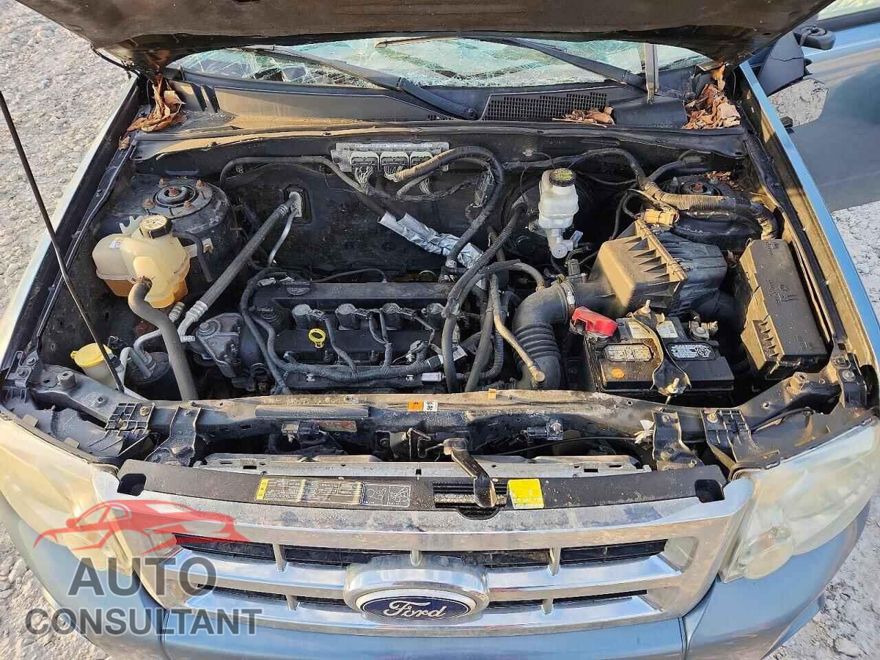 FORD ESCAPE 2011 - 1FMCU0D76BKA13976