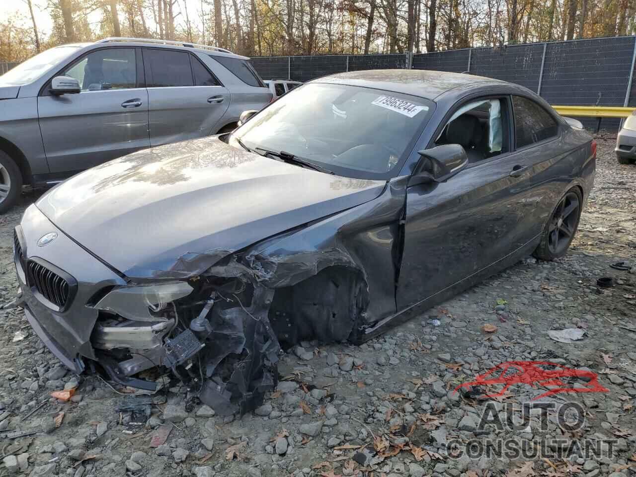 BMW 2 SERIES 2016 - WBA1F9C56GV546746