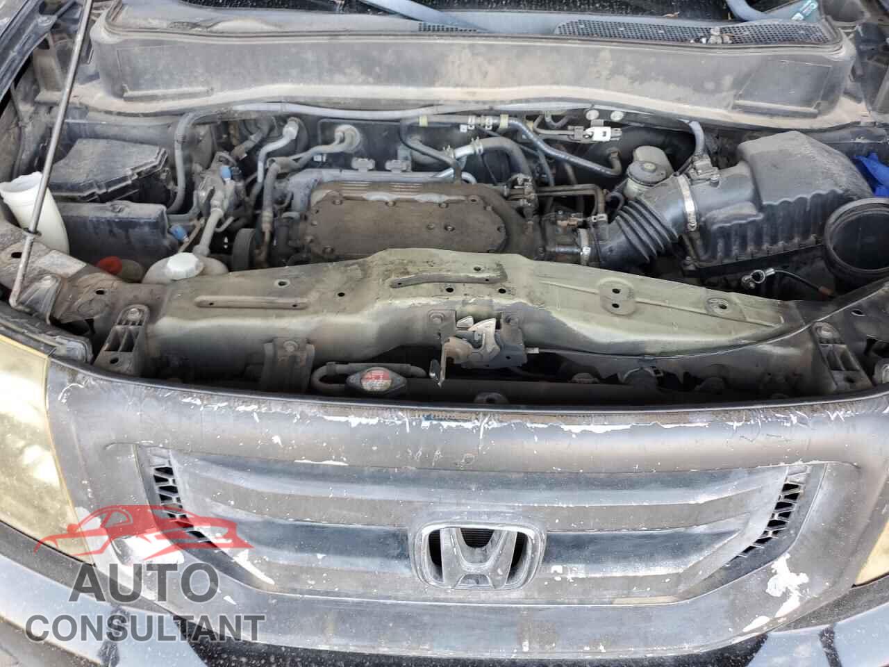 HONDA PILOT 2009 - 5FNYF38579B024622