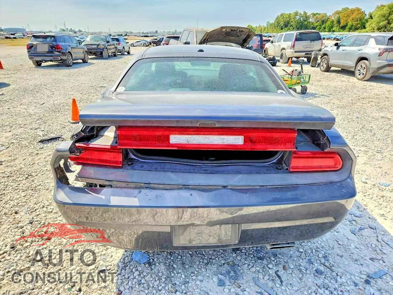 DODGE CHALLENGER 2014 - 2C3CDYAG3EH153121