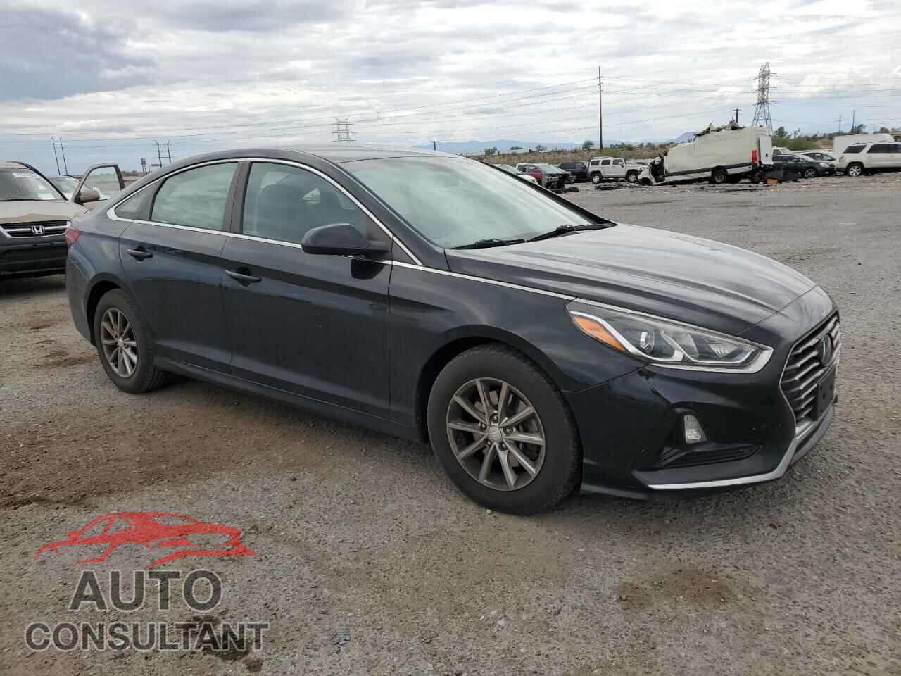 HYUNDAI SONATA 2019 - 5NPE24AF2KH764108