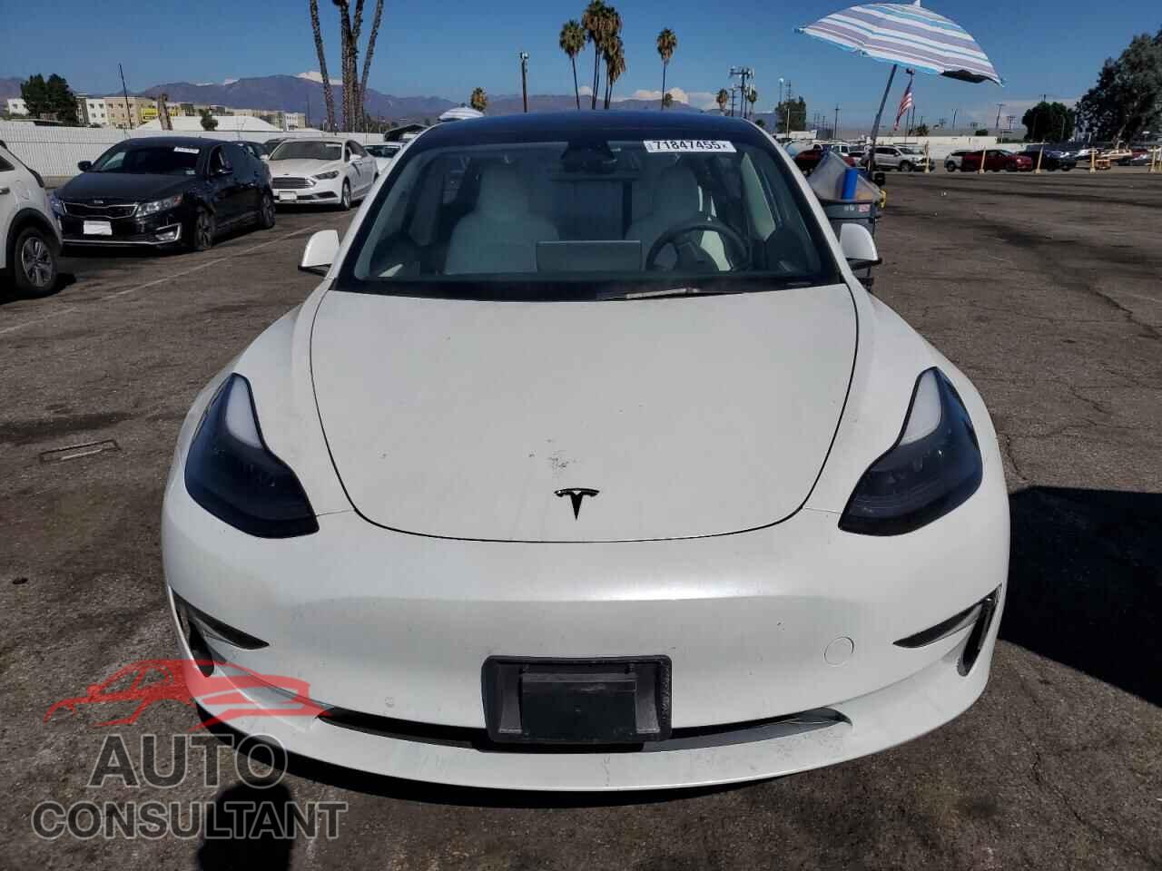 TESLA MODEL 3 2022 - 5YJ3E1EA0NF362344