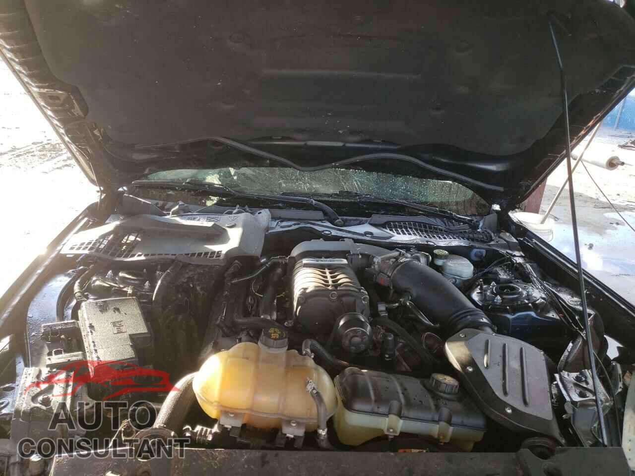 FORD MUSTANG 2017 - 1FA6P8CF4H5256425