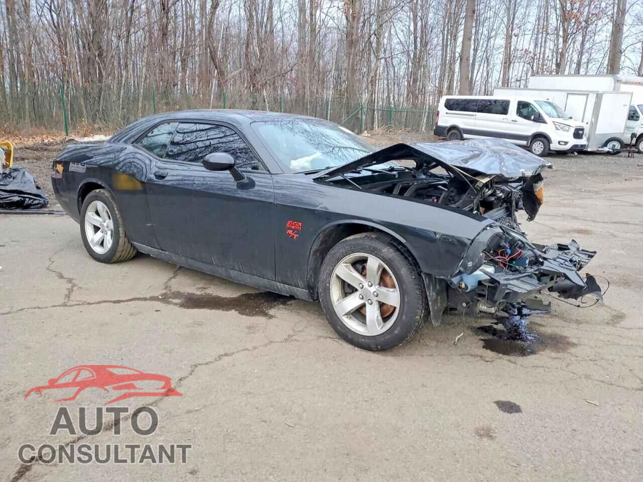 DODGE CHALLENGER 2014 - 2C3CDYBT5EH242278
