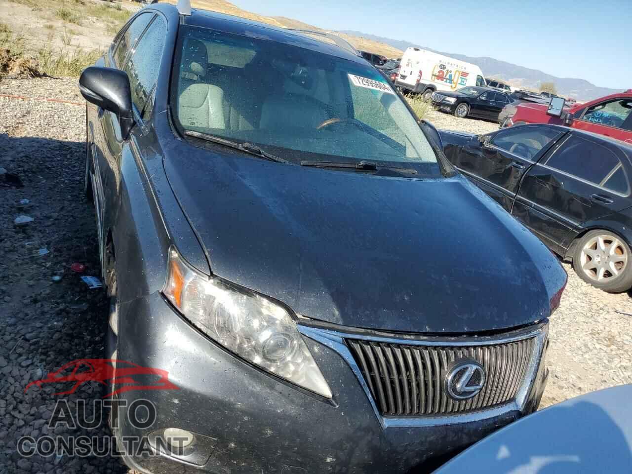LEXUS RX350 2010 - 2T2BK1BA9AC048016