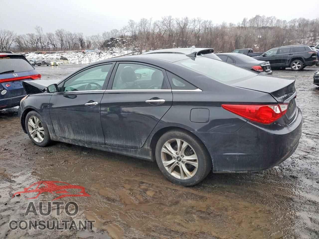 HYUNDAI SONATA 2011 - 5NPEC4AC2BH212062