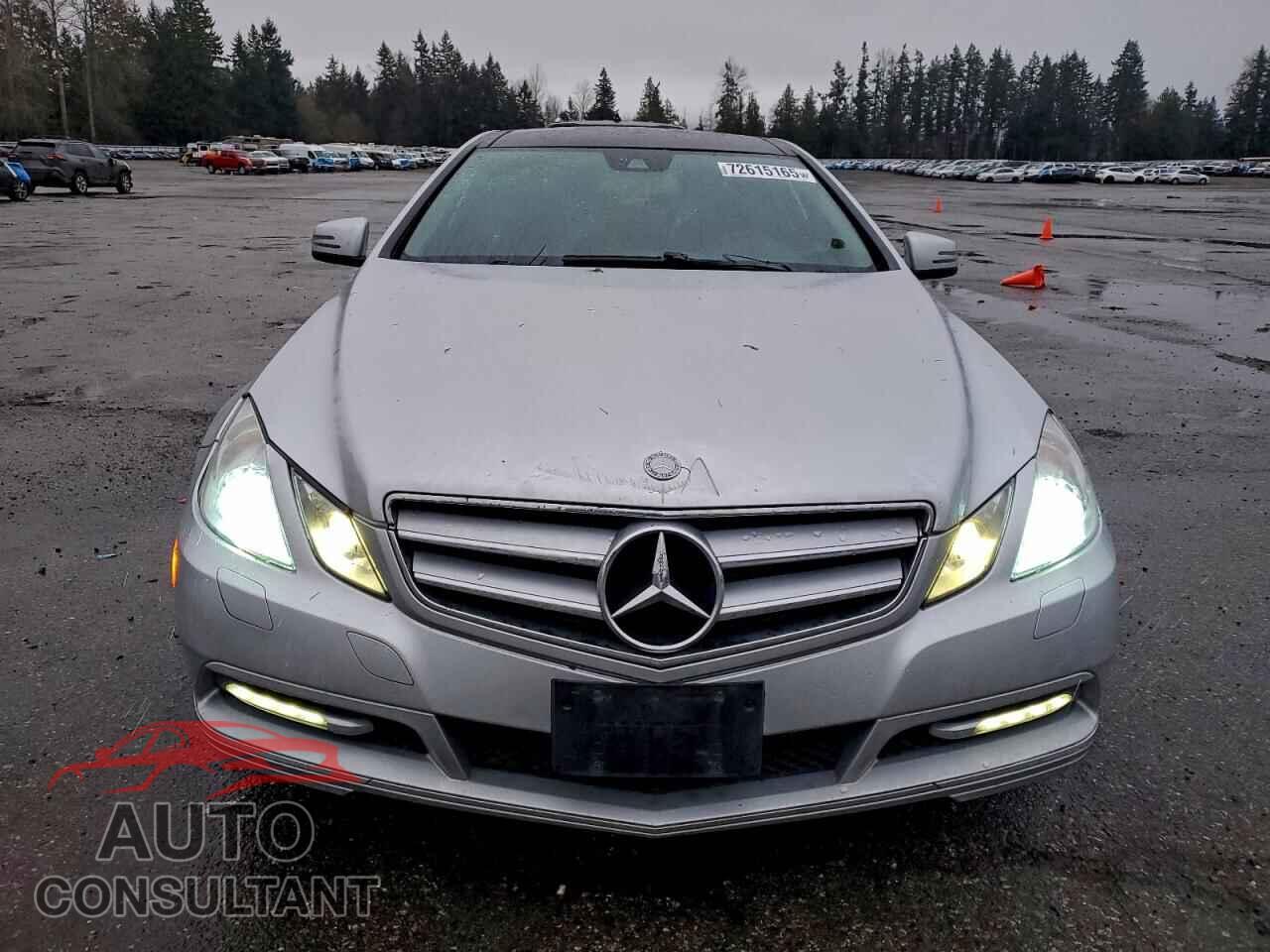 MERCEDES-BENZ E-CLASS 2012 - WDDKJ5KB0CF141448