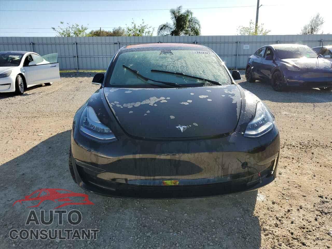 TESLA MODEL 3 2019 - 5YJ3E1EA3KF300335