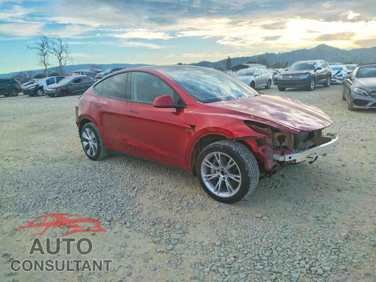 TESLA MODEL Y 2024 - 7SAYGDEE8RF031427