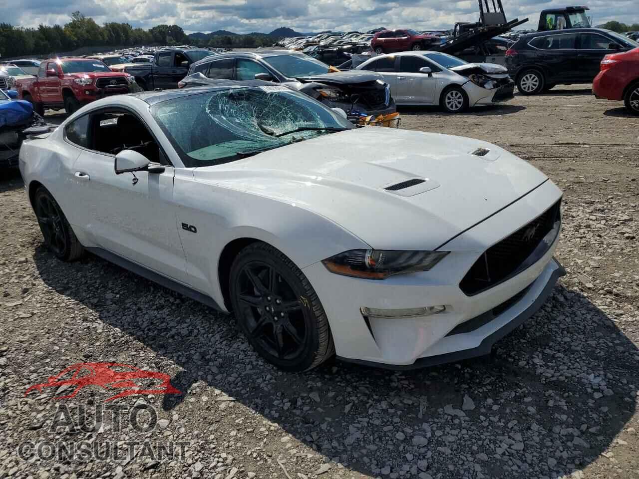 FORD MUSTANG 2019 - 1FA6P8CF6K5199619