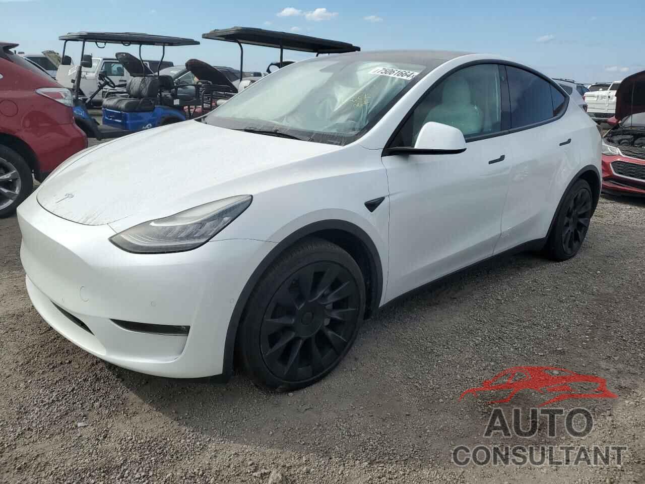 TESLA MODEL Y 2021 - 5YJYGDEE3MF144207