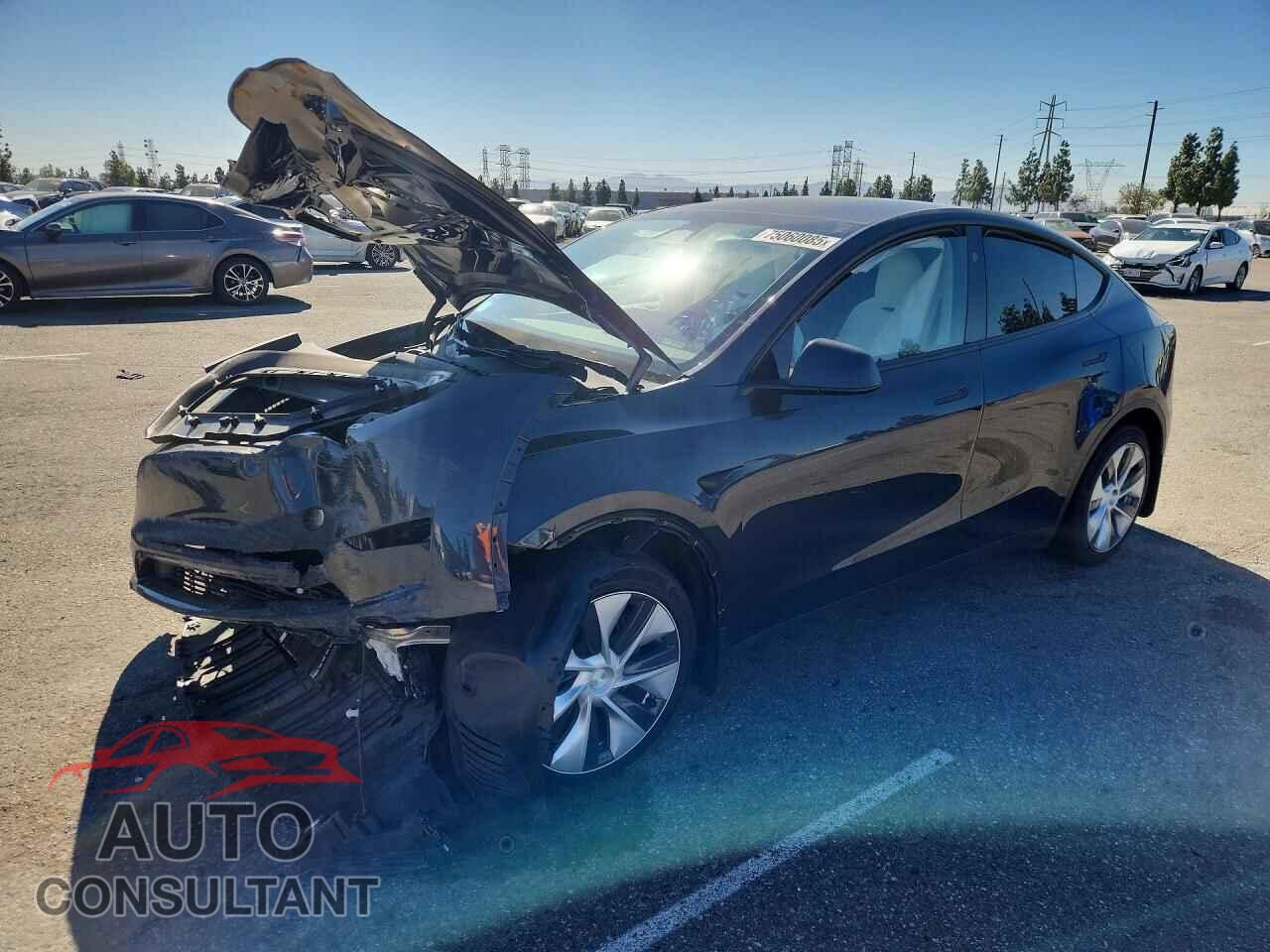 TESLA MODEL Y 2024 - 7SAYGDED9RF009508