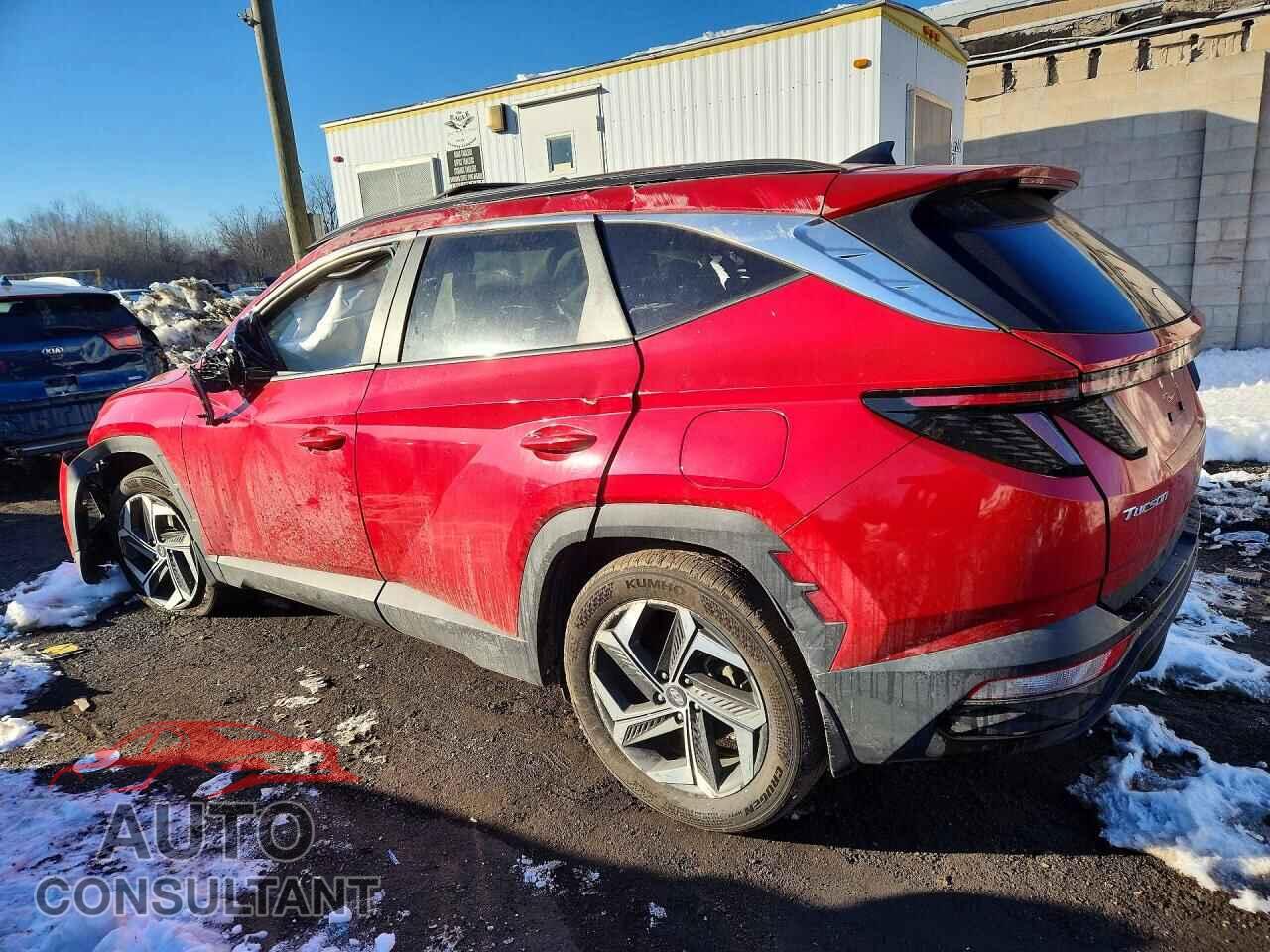 HYUNDAI TUCSON 2023 - 5NMJFCAE7PH172311