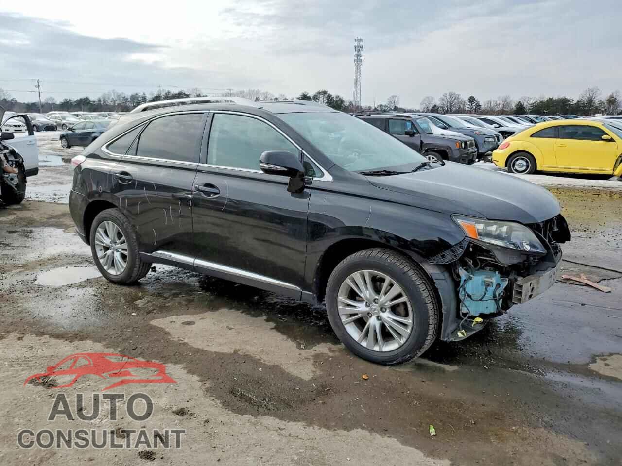 LEXUS RX450 2010 - JTJBC1BA8A2009964