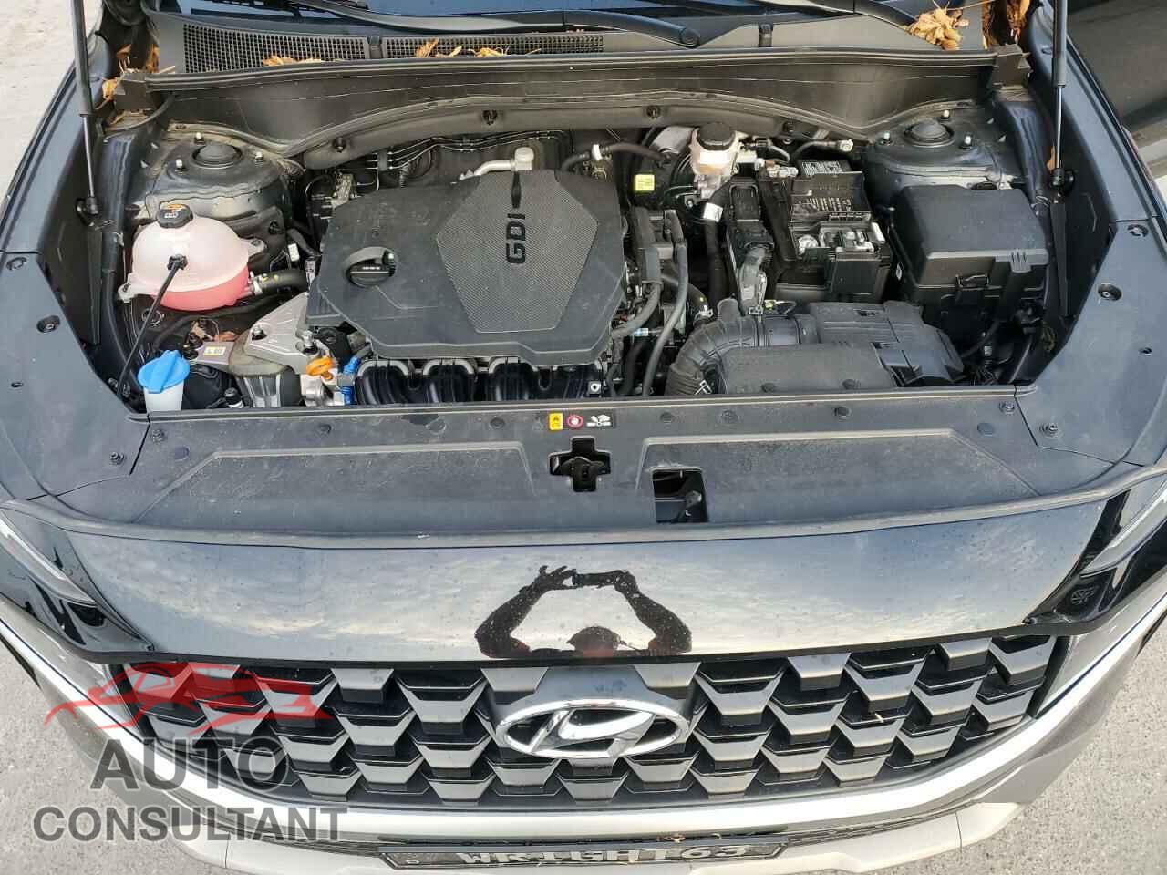 HYUNDAI SANTA FE 2023 - 5NMS14AJ3PH563123