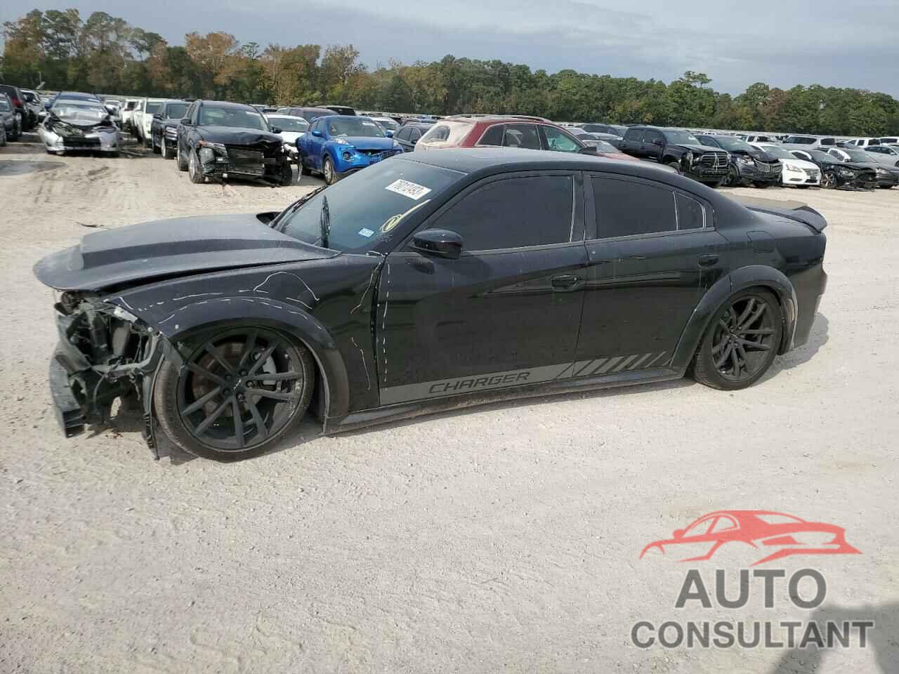 DODGE CHARGER 2015 - 2C3CDXCT3FH729022
