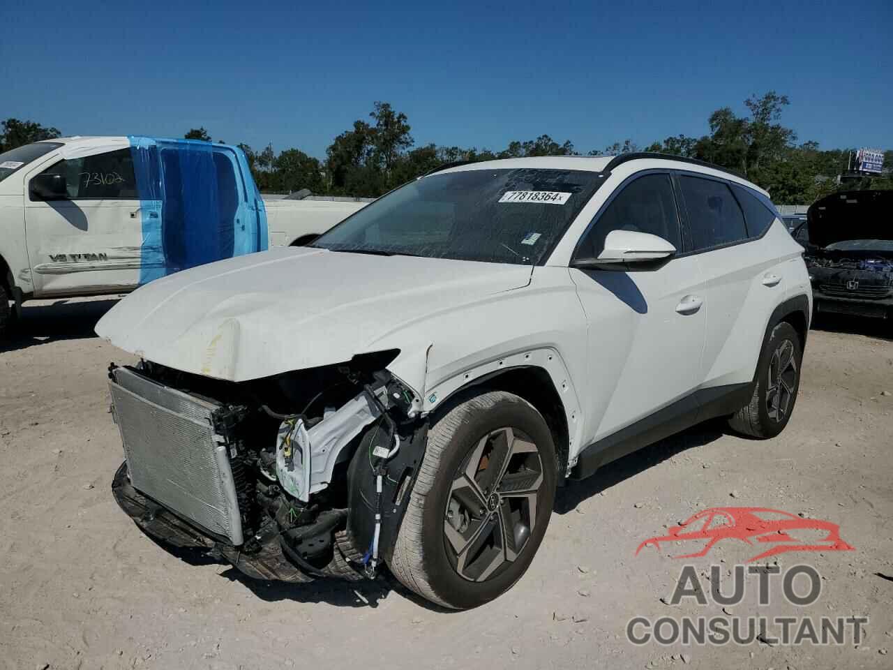 HYUNDAI TUCSON 2024 - 5NMJF3DE8RH369874