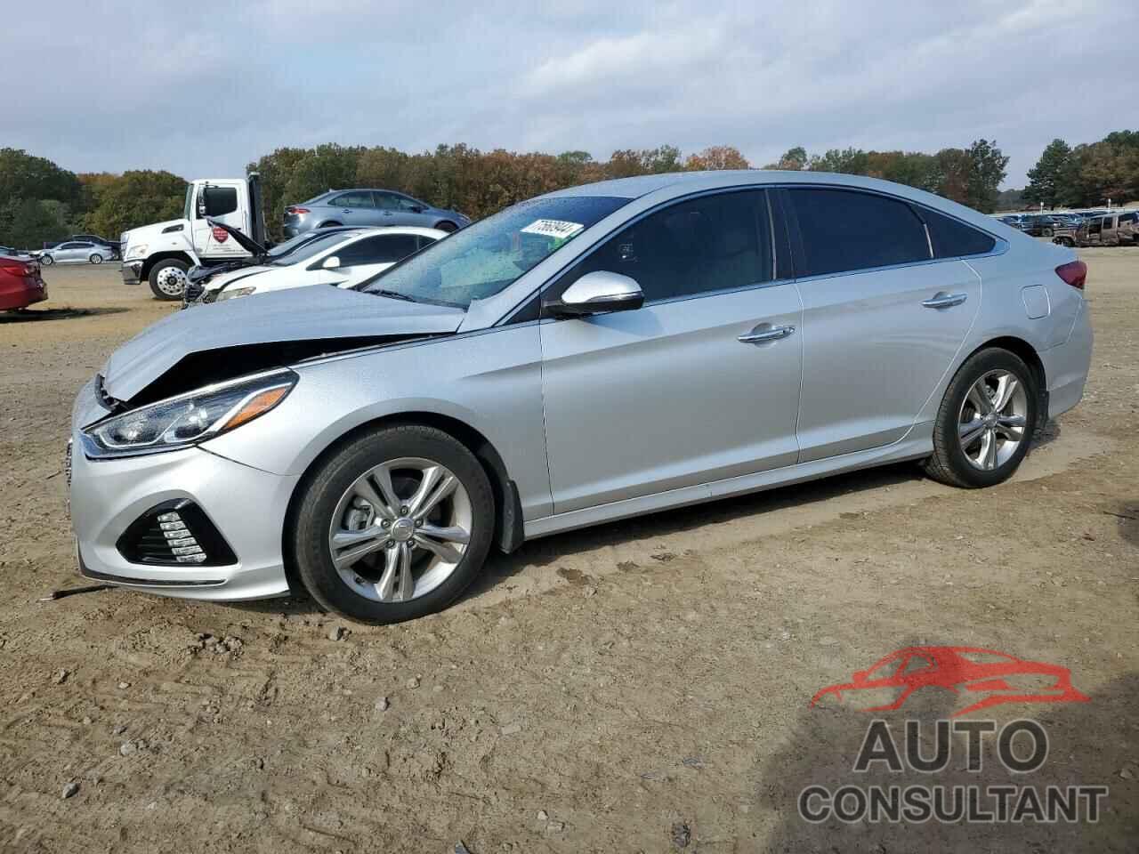 HYUNDAI SONATA 2019 - 5NPE34AF5KH779991