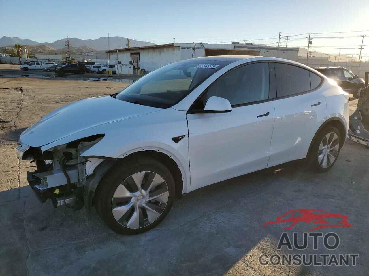 TESLA MODEL Y 2021 - 5YJYGDEE5MF217352