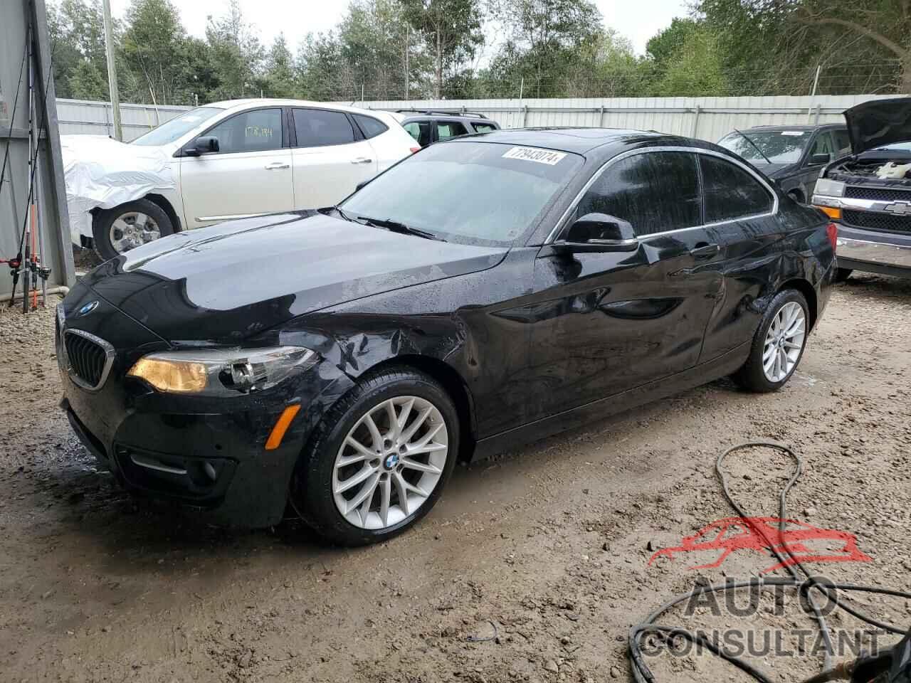 BMW 2 SERIES 2016 - WBA1F9C5XGV545132