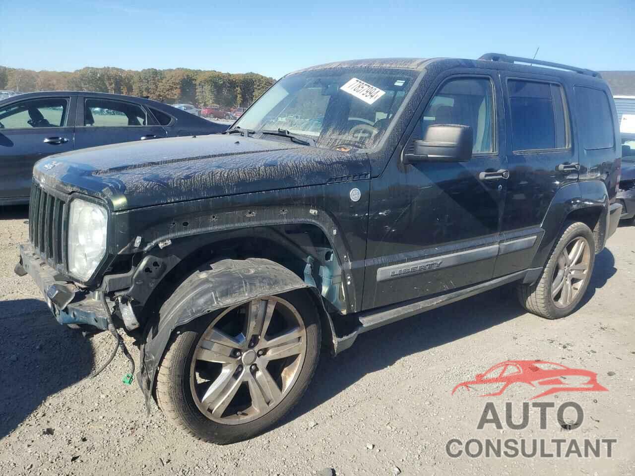 JEEP LIBERTY 2011 - 1J4PN2GK2BW502084