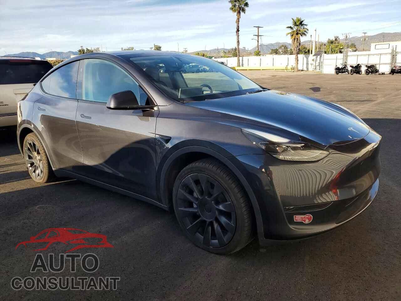 TESLA MODEL Y 2024 - 7SAYGDED4RF052024