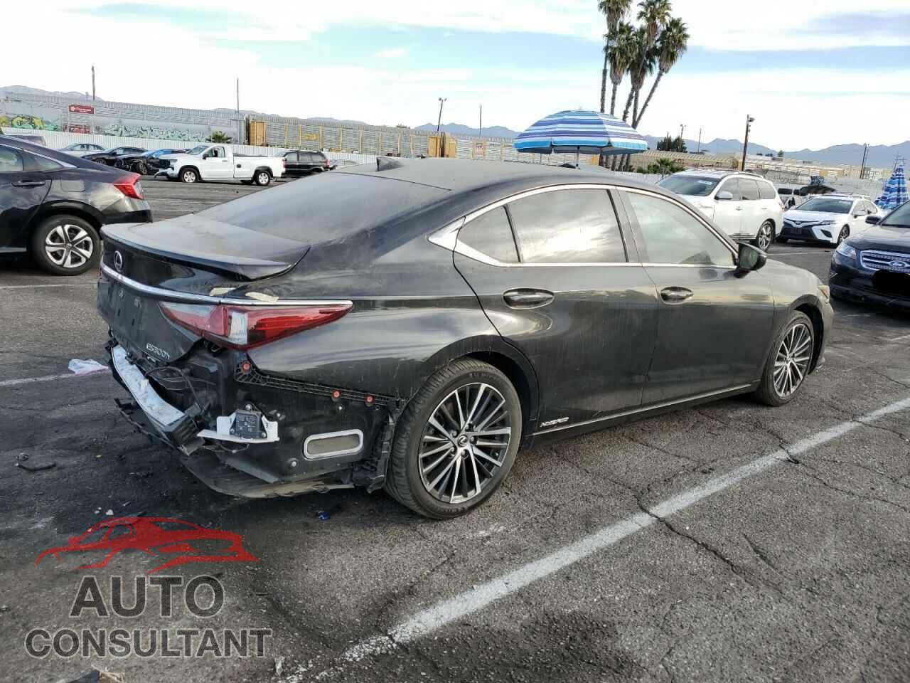 LEXUS ES300 2022 - 58ADA1C19NU023077