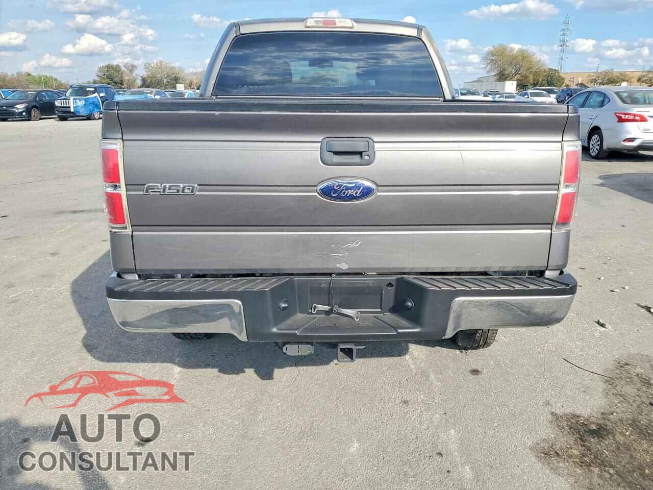 FORD F-150 2010 - 1FTEW1C80AFD30408