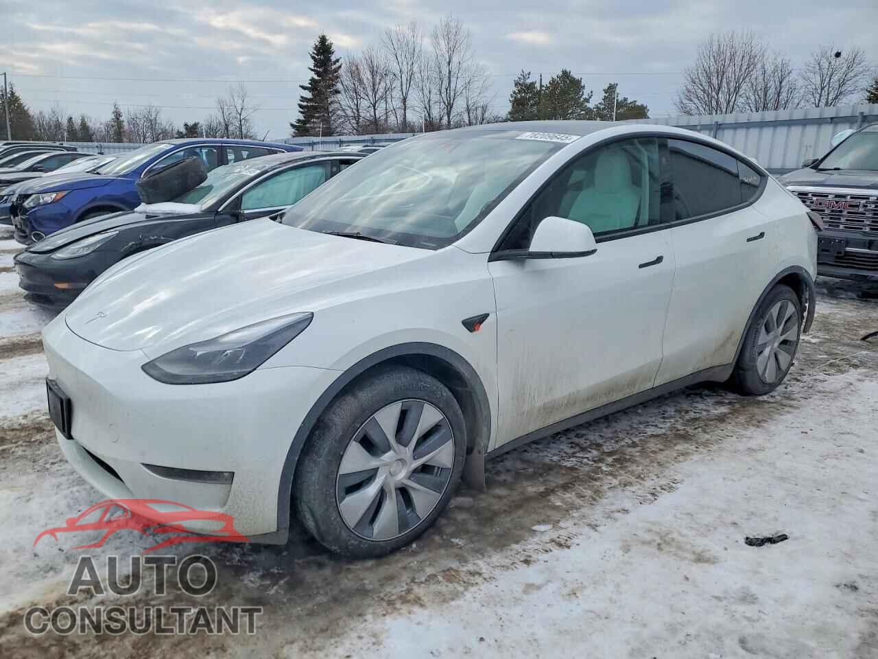 TESLA MODEL Y 2024 - 7SAYGDEE7RF990608