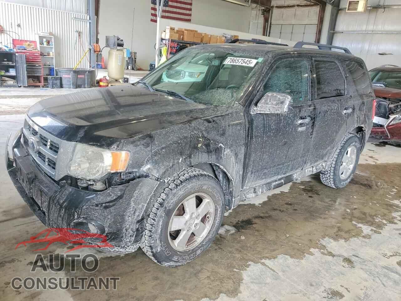FORD ESCAPE 2011 - 1FMCU0DG7BKC04323