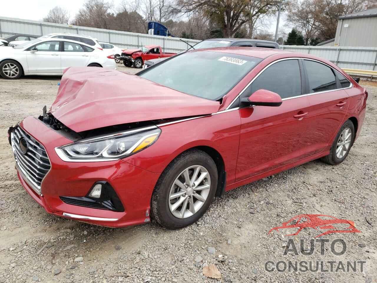 HYUNDAI SONATA 2019 - 5NPE24AFXKH807660