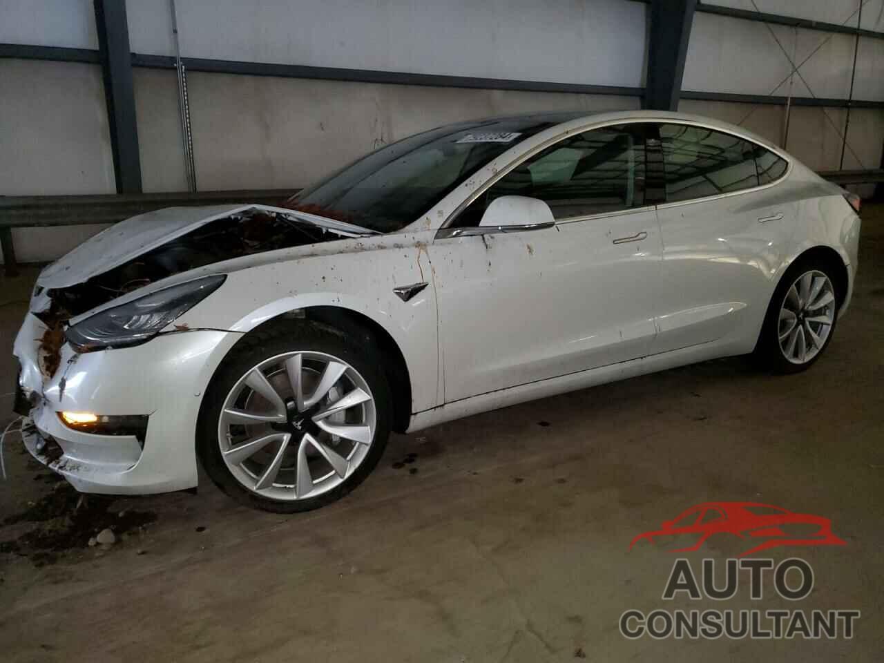 TESLA MODEL 3 2019 - 5YJ3E1EA1KF329137