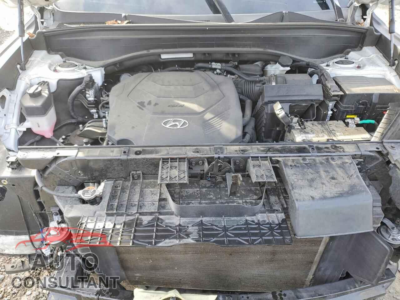 HYUNDAI PALISADE 2023 - KM8R3DGE7PU539656