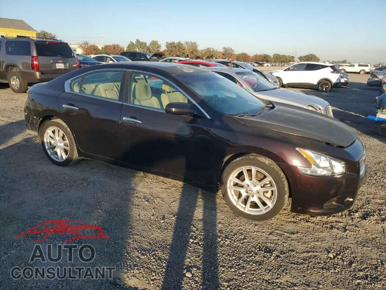 NISSAN MAXIMA 2011 - 1N4AA5AP6BC857599